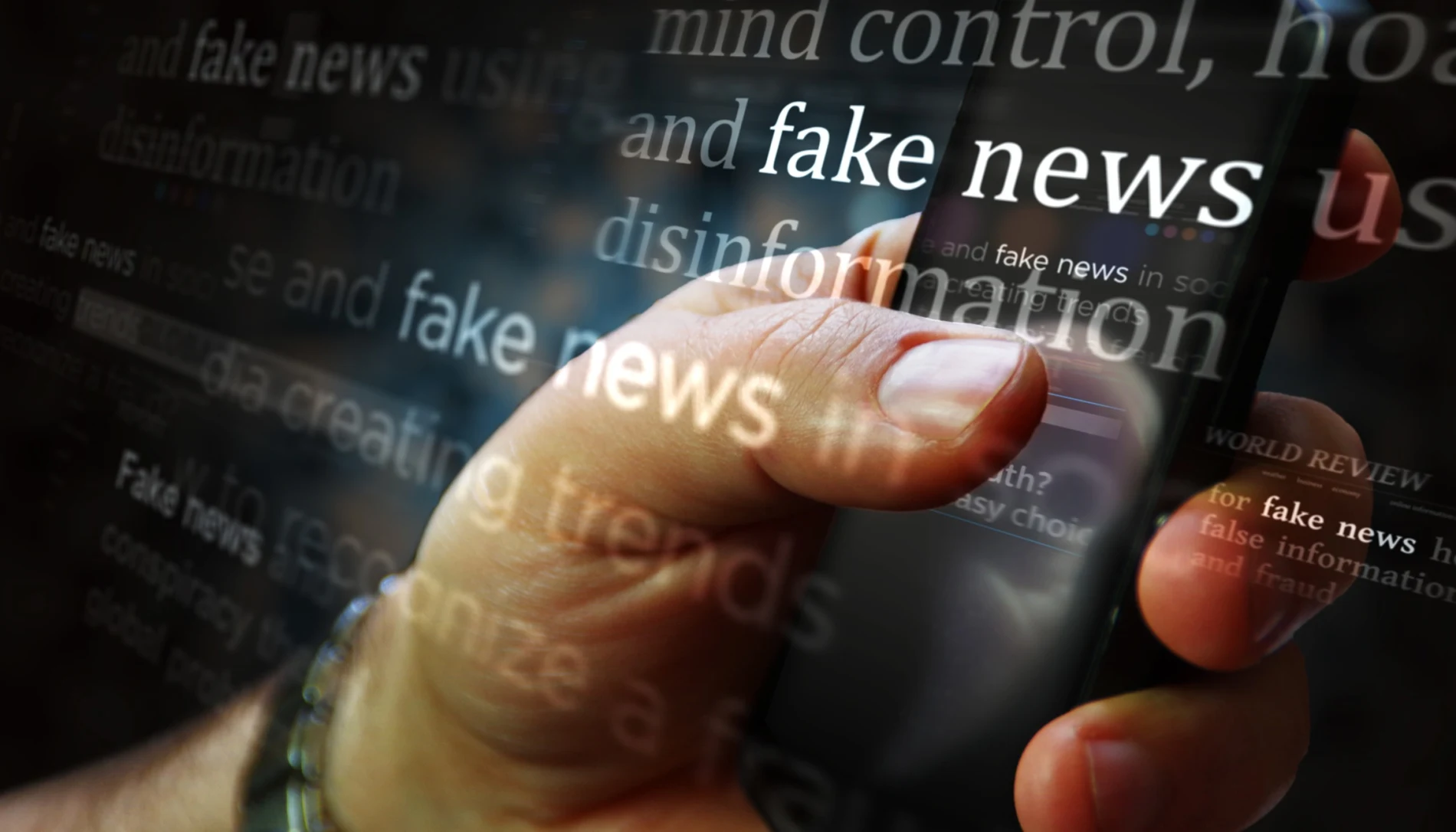 Unraveling the Challenge of Disinformation: A Comprehensive Examination