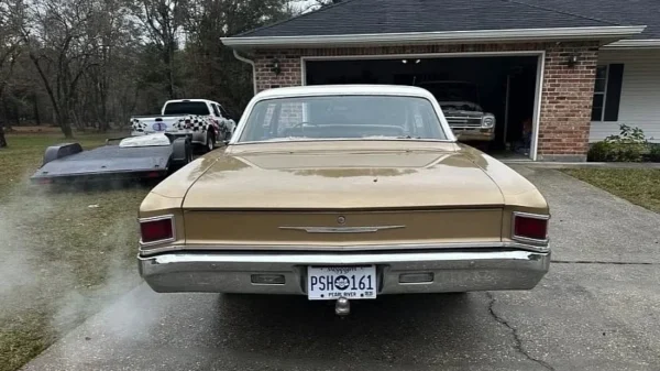 Photo: eBay seller slpss_0951